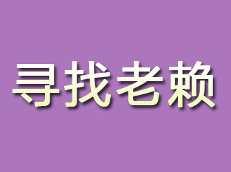 金东寻找老赖